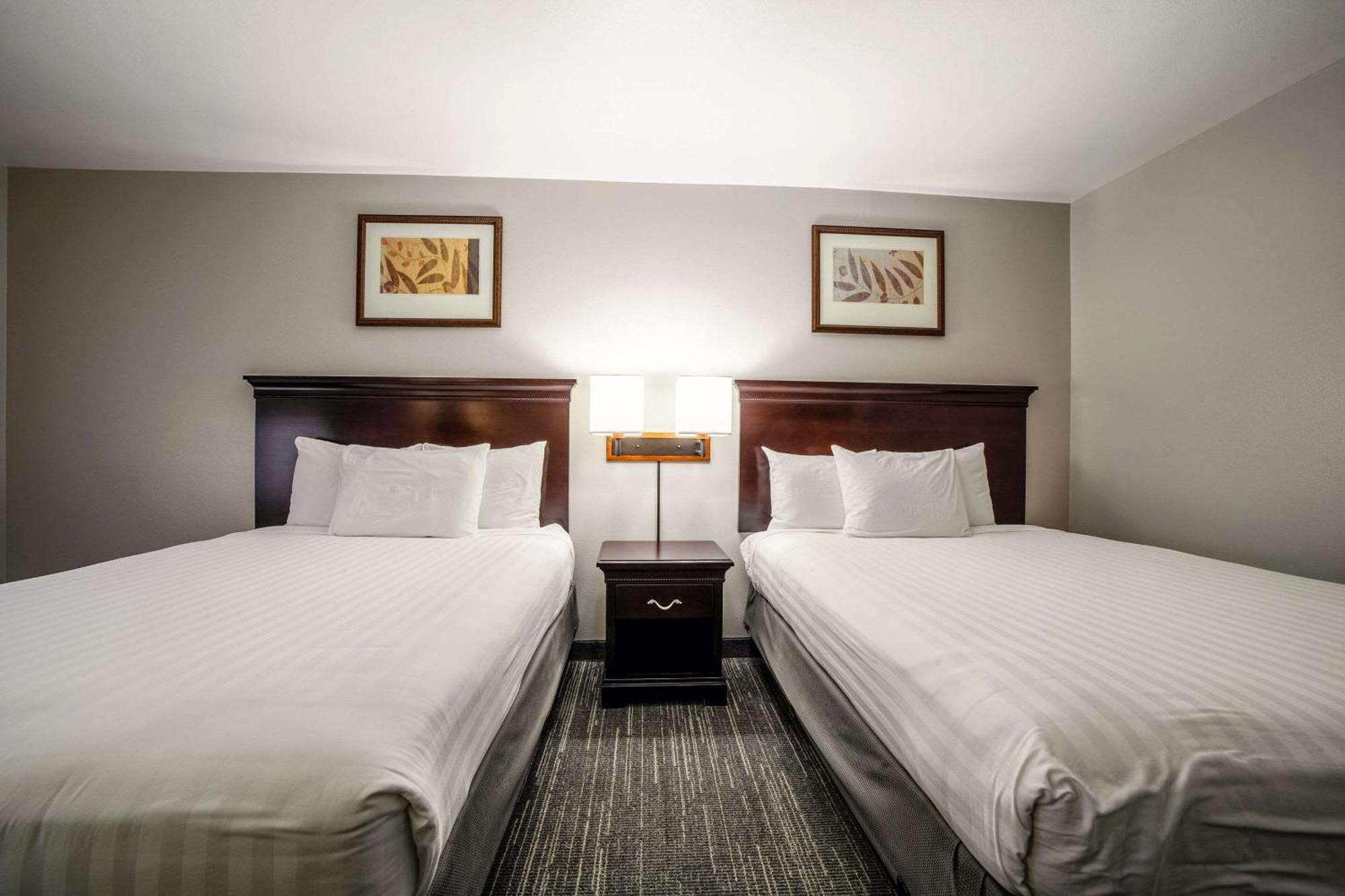 Country Inn & Suites By Radisson, Ontario At Ontario Mills, Ca エクステリア 写真
